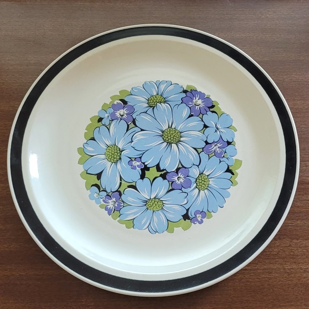 Decorated Stoneware Japan Blue Shasta Dishwasher Oven Safe